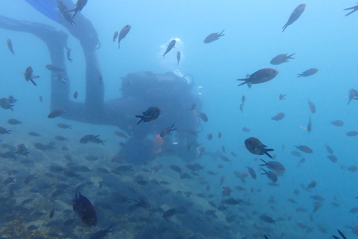 DISCOVERY-SCUBA-DIVING-4.jpg