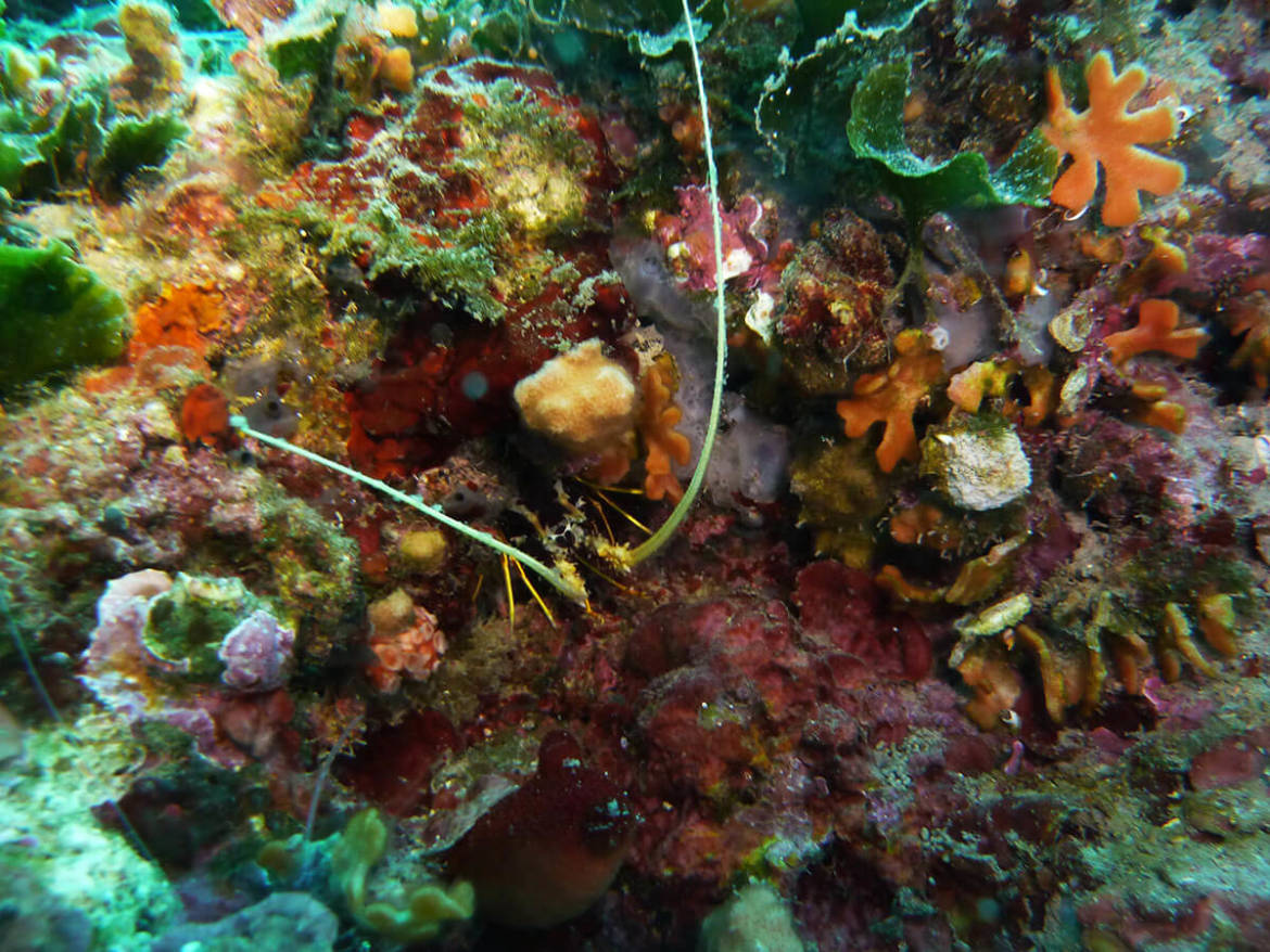 P1200476.jpg