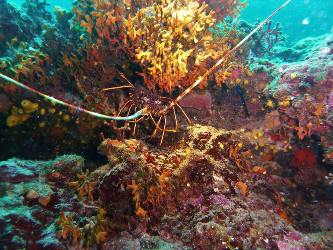 P1200525.jpg