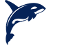 orca_65